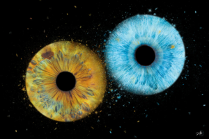 IRIS