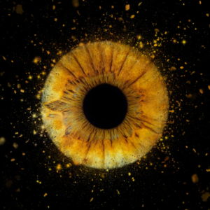 iris etoilee