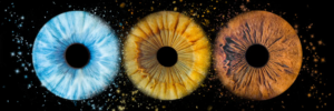 photo iris trio dispersions