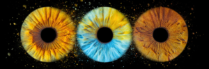 photo iris trio etoiles