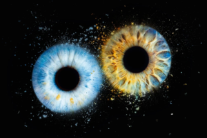 Iris Duo