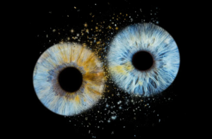 couple iris