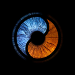 yin yang photo iris